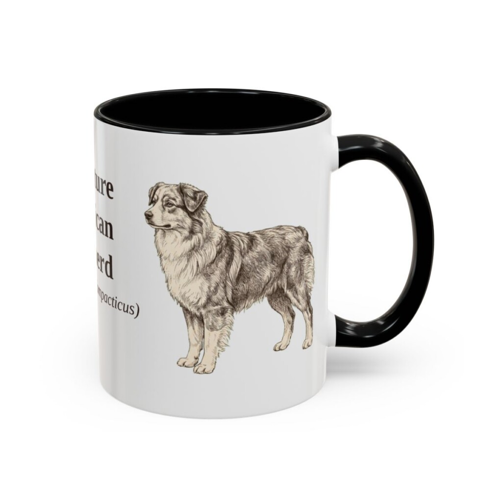 11oz Miniature American Shepherd Latin Mug, Black, right side view