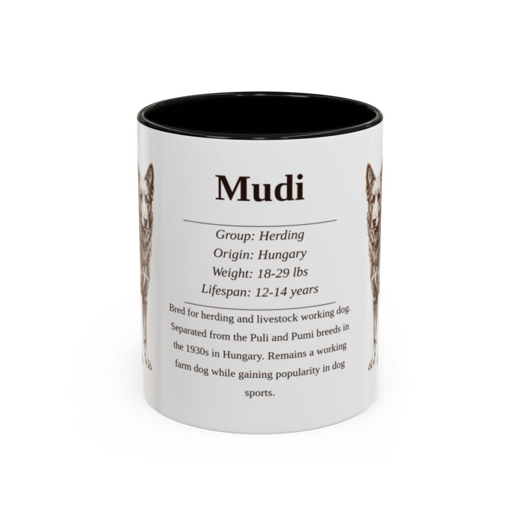 11oz Mudi Mug, Black, front view
