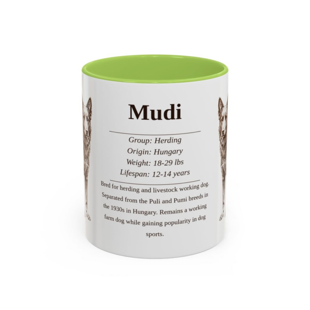 11oz Mudi Mug, Light Green, front view