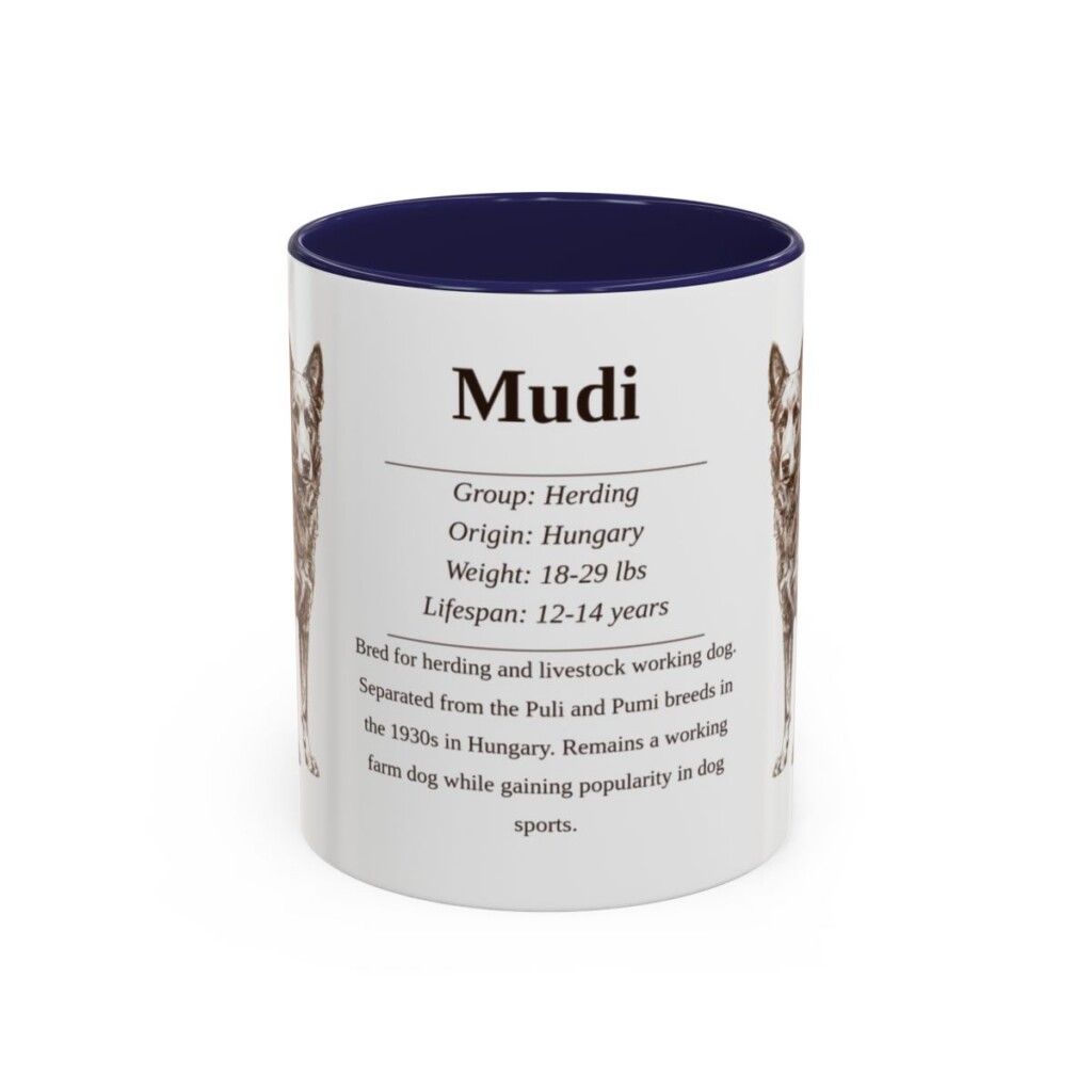 11oz Mudi Mug, Navy, front view