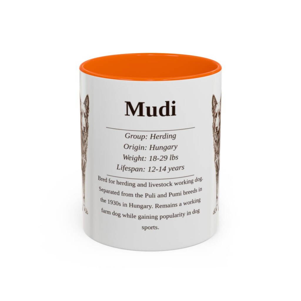 11oz Mudi Mug, Orange, front view
