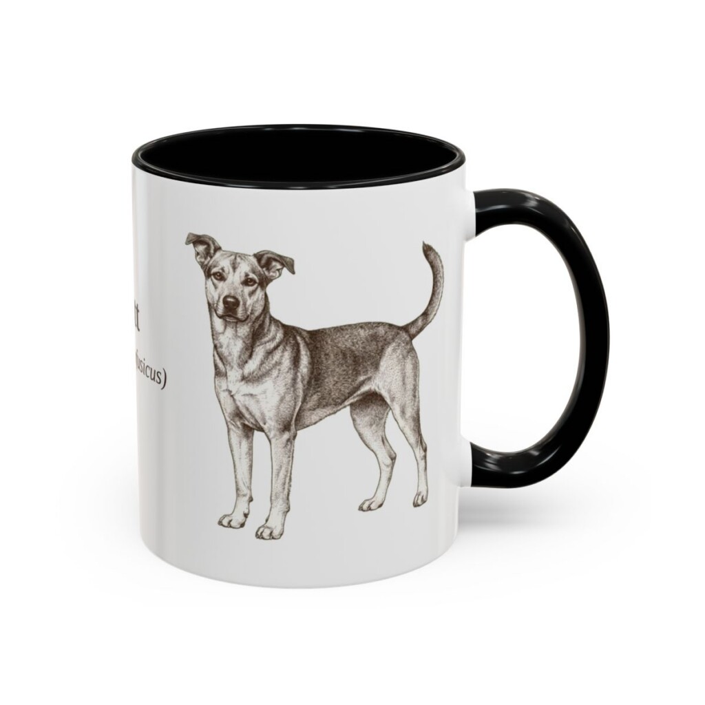 11oz Mutt Latin Mug, Black, right side view