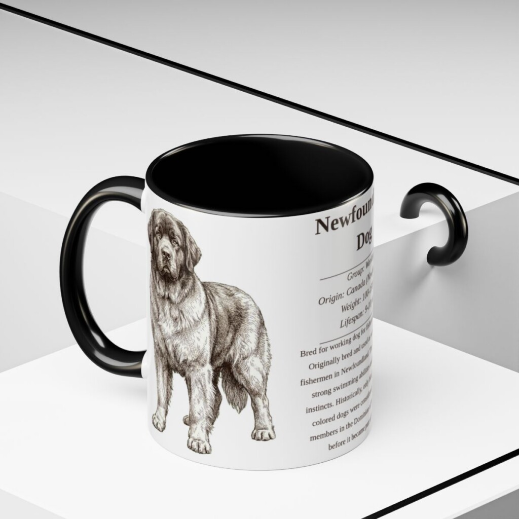 11oz Newfoundland Dog Mug, Black, lifestyle photo