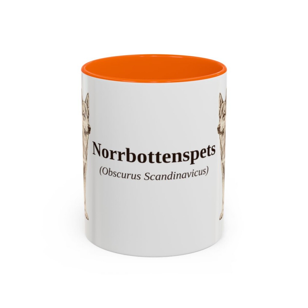 11oz Norrbottenspets Latin Mug, Orange, front view