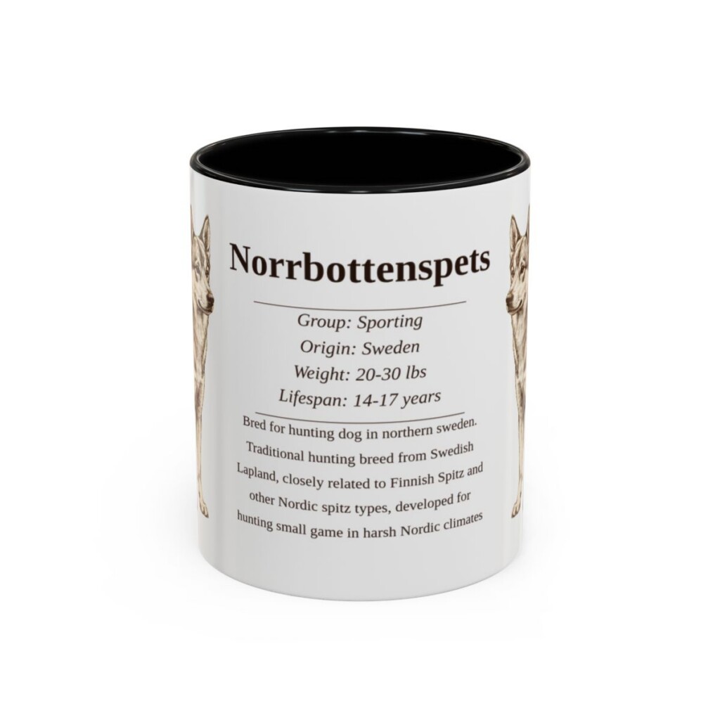 11oz Norrbottenspets Mug, Black, front view