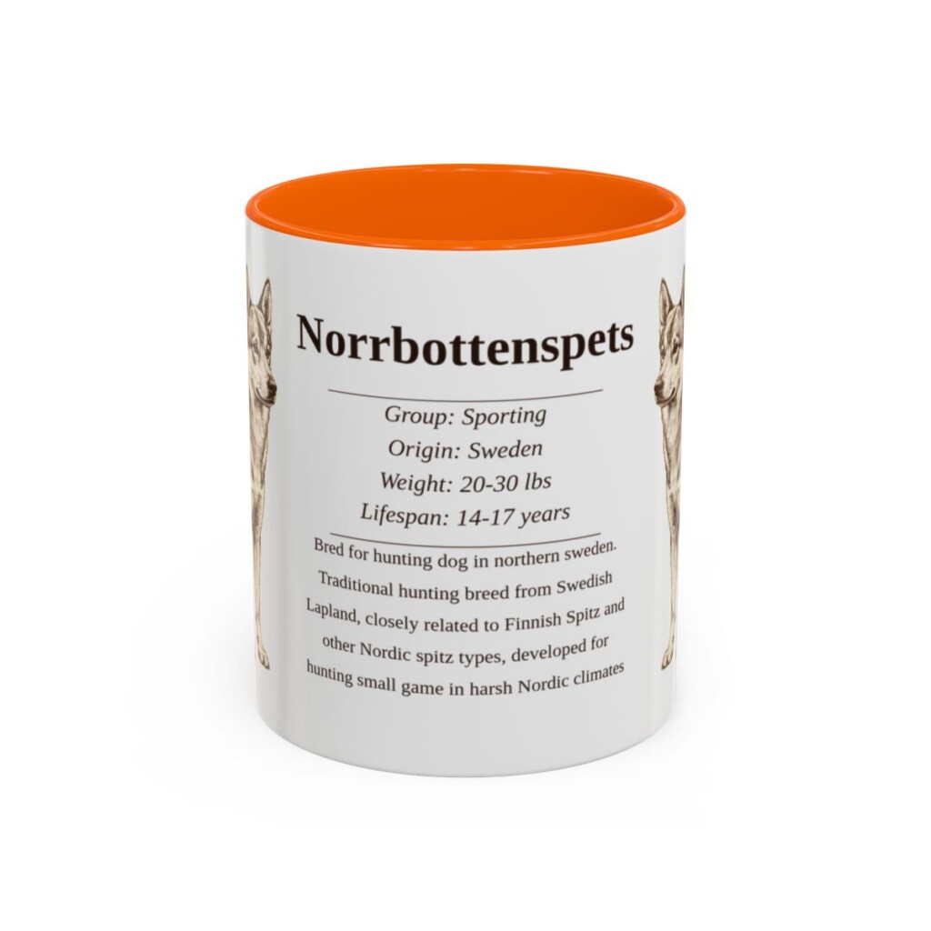 11oz Norrbottenspets Mug, Orange, front view