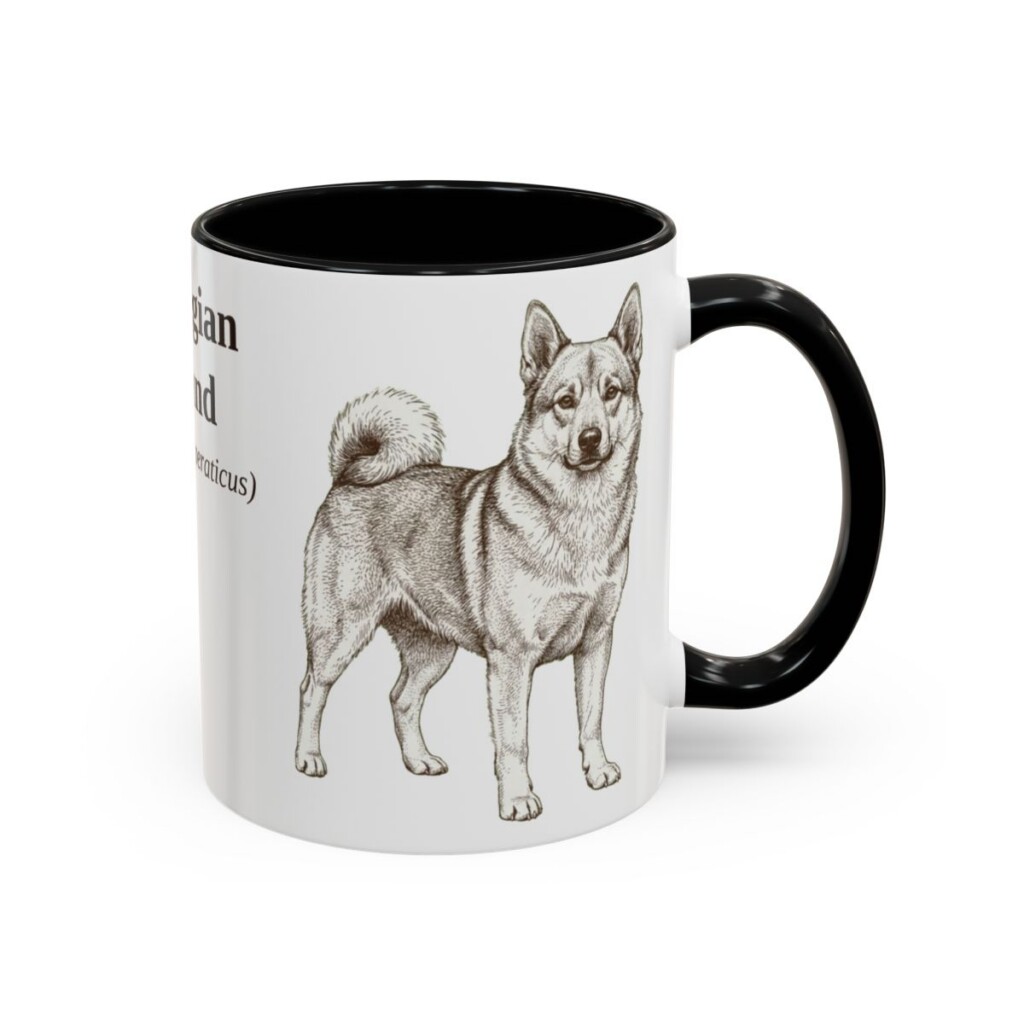 11oz Norwegian Buhund Latin Mug, Black, right side view
