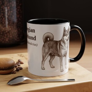 11oz Norwegian Lundehund Latin Mug, Black, lifestyle photo