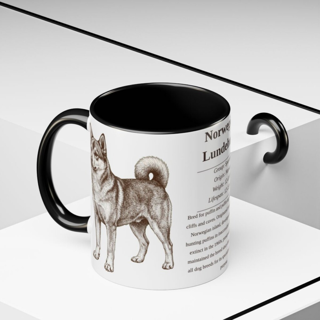 11oz Norwegian Lundehund Mug, Black, lifestyle photo