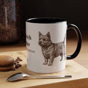 11oz Norwich Terrier Latin Mug, Black, lifestyle photo