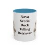 11oz-nova-scotia-duck-tolling-retriever-mug-light-blue 11oz Nova Scotia Duck Tolling Retriever Mug, Light Blue, front view