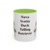 11oz-nova-scotia-duck-tolling-retriever-mug-light-green 11oz Nova Scotia Duck Tolling Retriever Mug, Light Green, front view