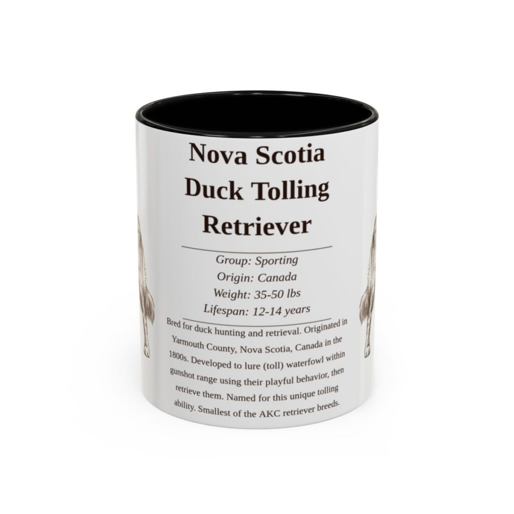 11oz Nova Scotia Duck Tolling Retriever Mug, Black, front view