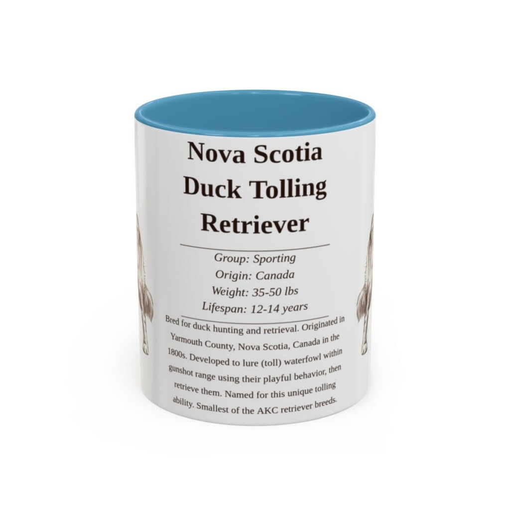 11oz Nova Scotia Duck Tolling Retriever Mug, Light Blue, front view