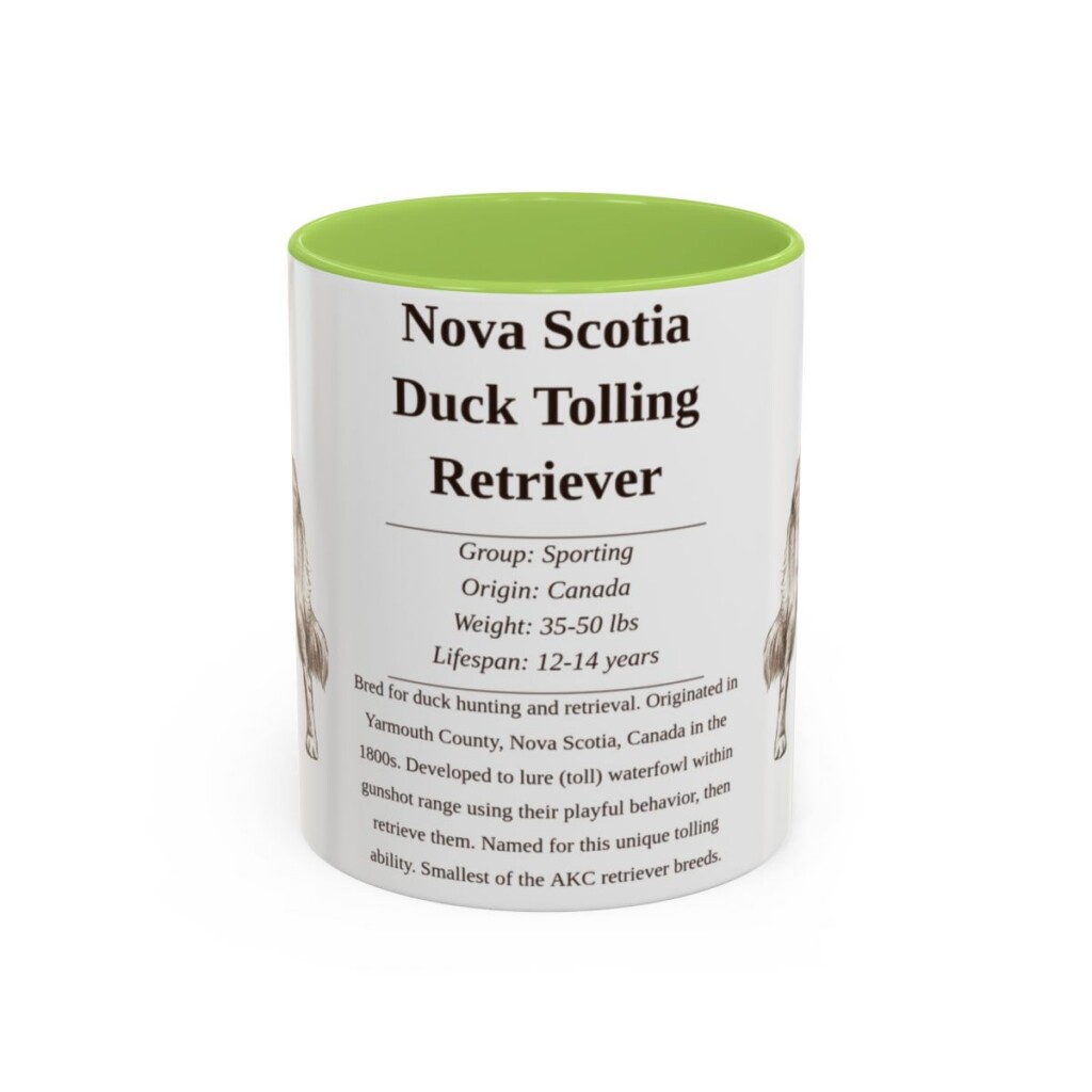 11oz Nova Scotia Duck Tolling Retriever Mug, Light Green, front view