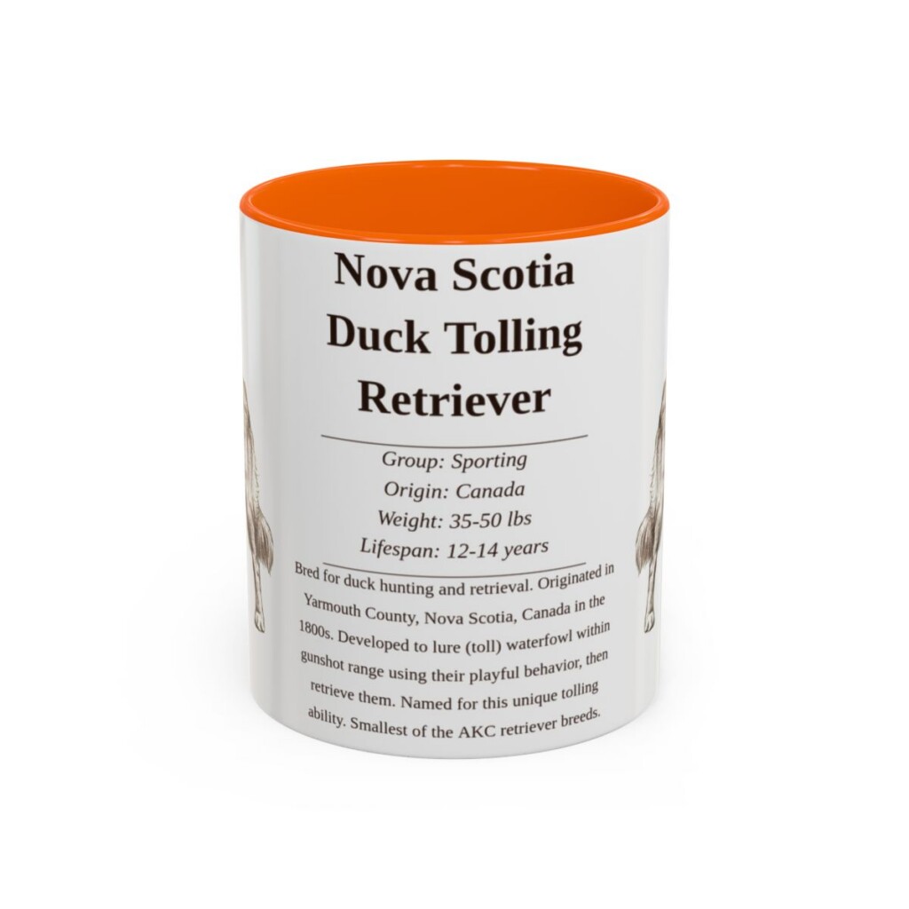 11oz Nova Scotia Duck Tolling Retriever Mug, Orange, front view