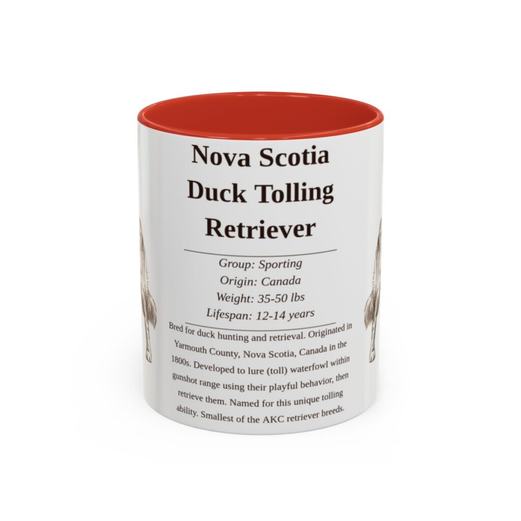 11oz Nova Scotia Duck Tolling Retriever Mug, Red, front view