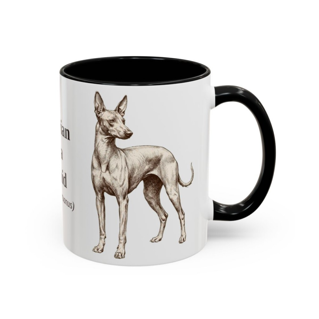 11oz Peruvian Inca Orchid Latin Mug, Black, right side view