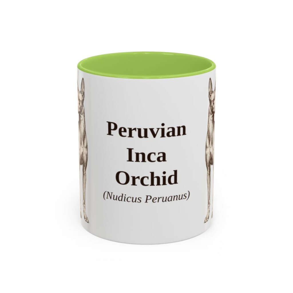 11oz Peruvian Inca Orchid Latin Mug, Light Green, front view