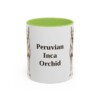 11oz-peruvian-inca-orchid-mug-light-green 11oz Peruvian Inca Orchid Mug, Light Green, front view
