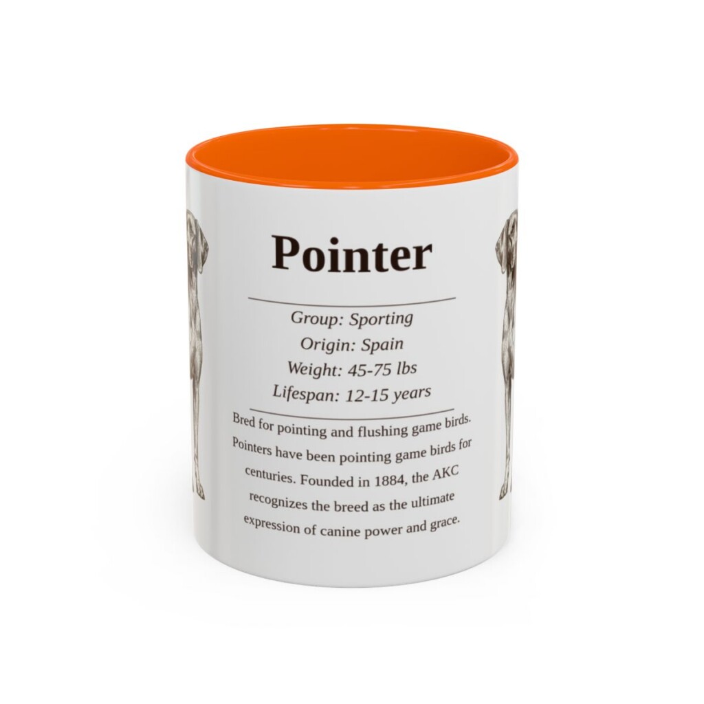 11oz Pointer Mug, Orange, front view