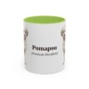 11oz-pomapoo-mug-latin-light-green 11oz Pomapoo Latin Mug, Light Green, front view