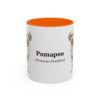 11oz-pomapoo-mug-latin-orange 11oz Pomapoo Latin Mug, Orange, front view