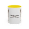 11oz-pomapoo-mug-latin-yellow 11oz Pomapoo Latin Mug, Yellow, front view