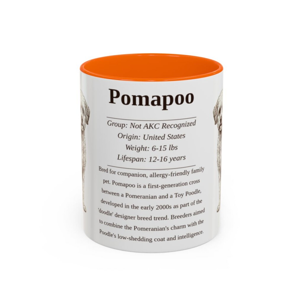 11oz Pomapoo Mug, Orange, front view