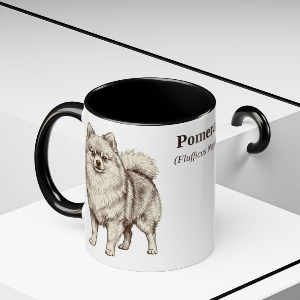 11oz Pomeranian Latin Mug, Black, lifestyle photo