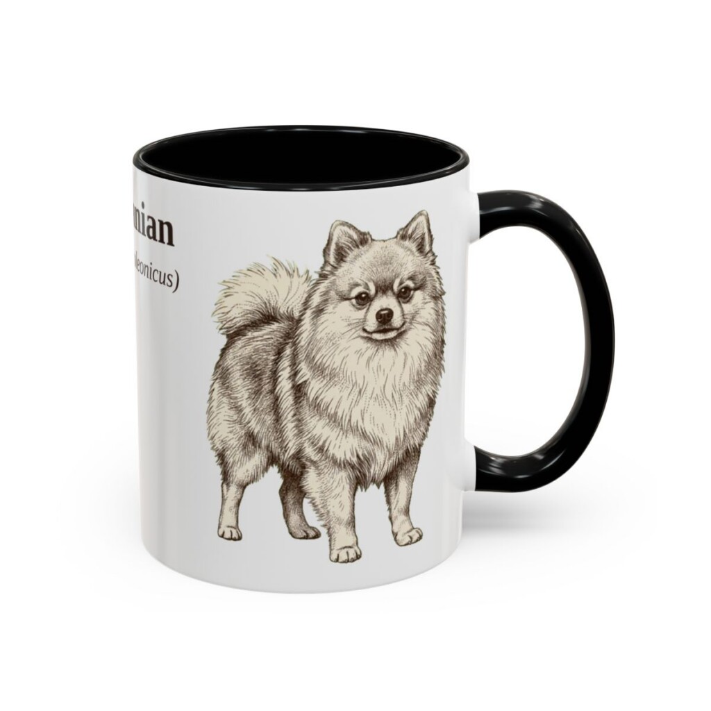 11oz Pomeranian Latin Mug, Black, right side view