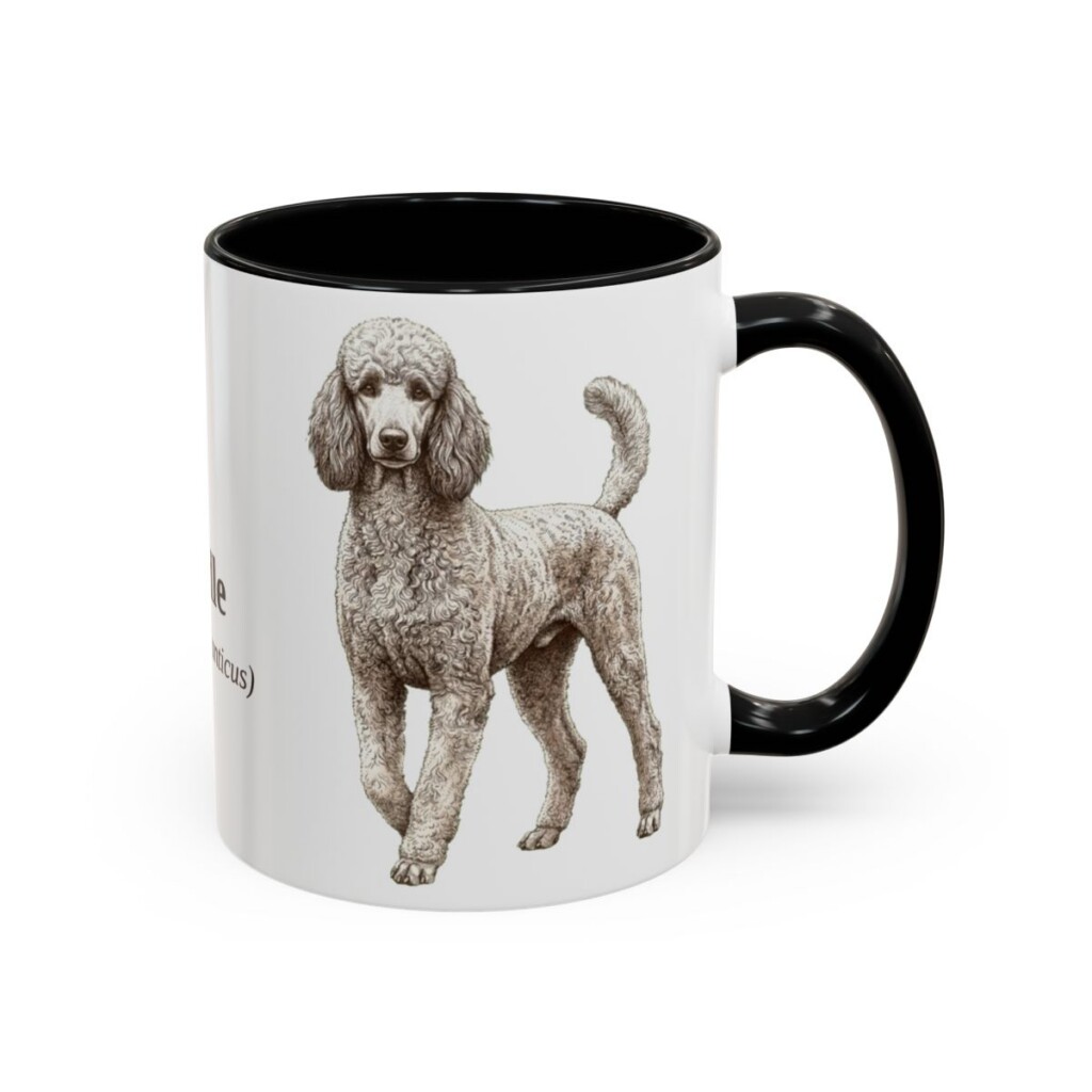 11oz Poodle Latin Mug, Black, right side view