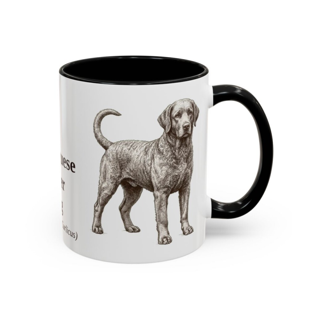 11oz Portuguese Water Dog Latin Mug, Black, right side view