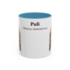 11oz-puli-mug-latin-light-blue 11oz Puli Latin Mug, Light Blue, front view