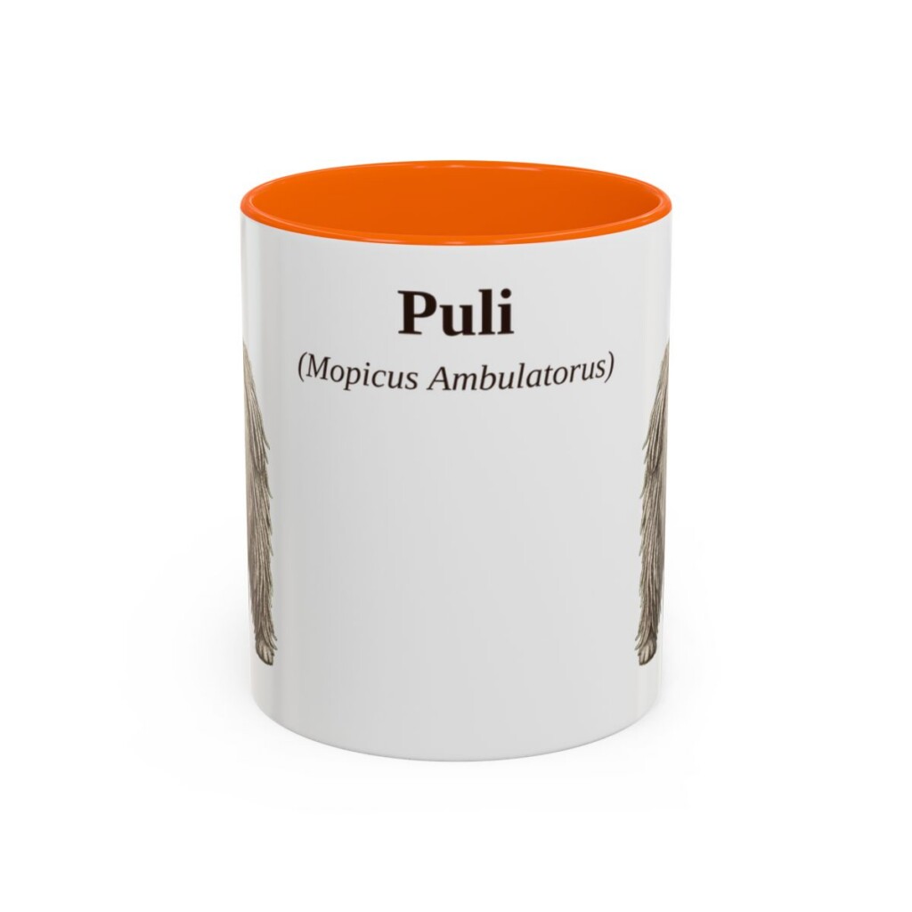 11oz-puli-mug-latin-orange 11oz Puli Latin Mug, Orange, front view