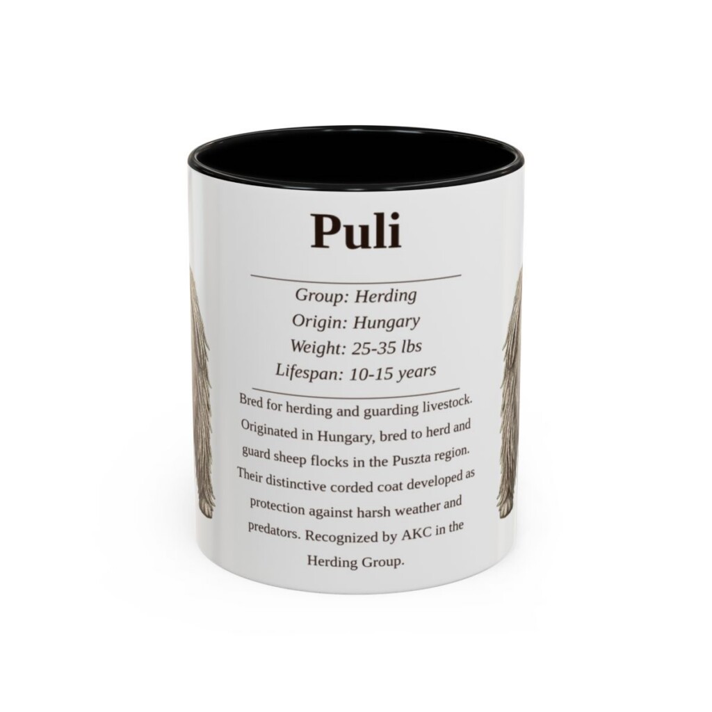 11oz Puli Mug, Black, front view
