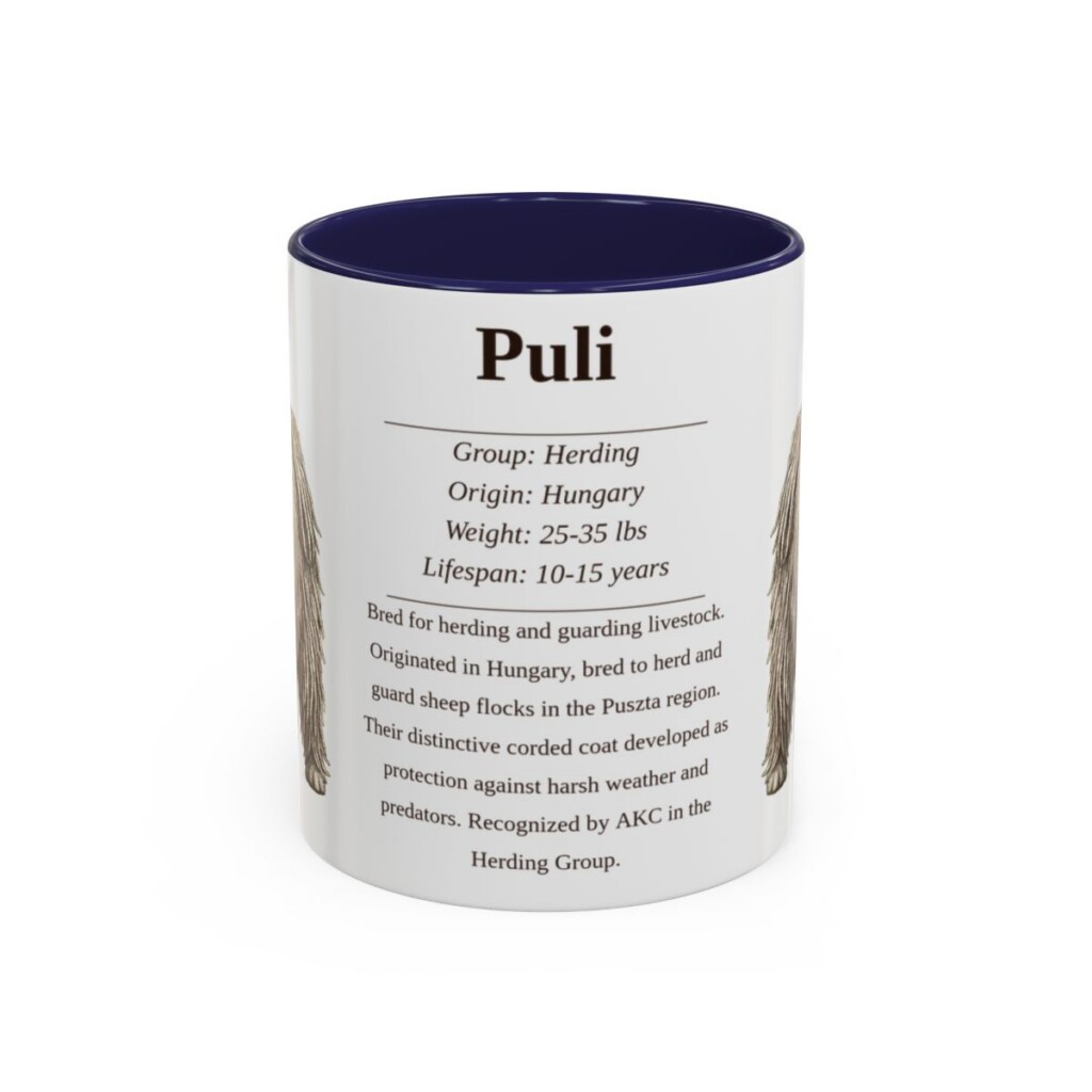 11oz Puli Mug, Navy, front view