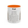 11oz Puli Mug, Orange, front view
