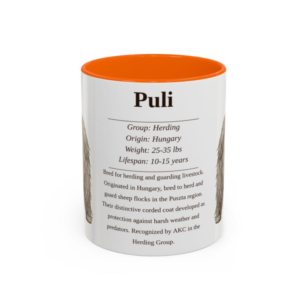 11oz Puli Mug, Orange, front view