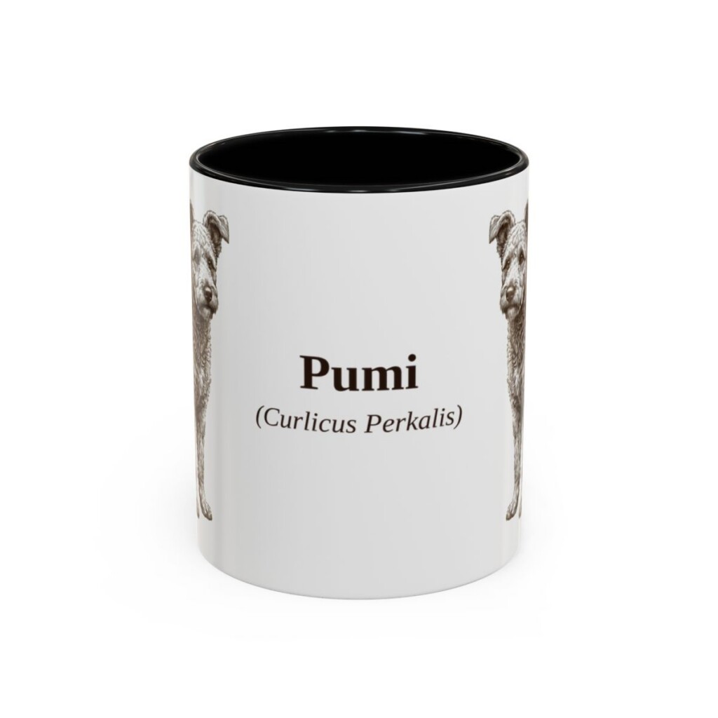 11oz Pumi Latin Mug, Black, front view
