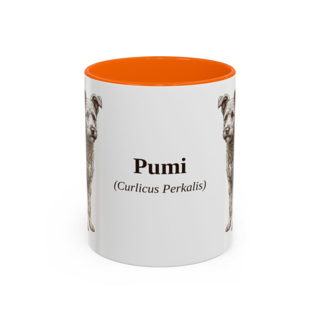 11oz Pumi Latin Mug, Orange, front view