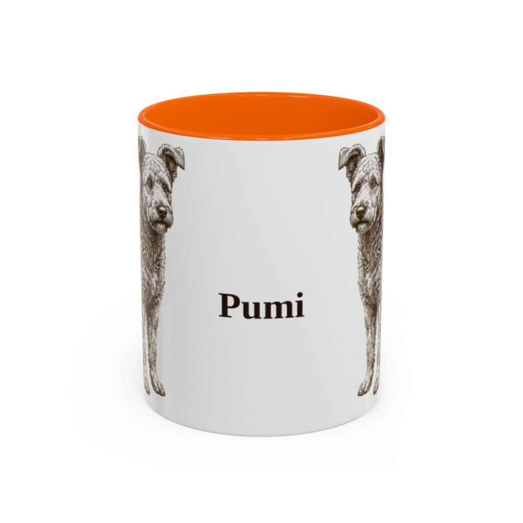 11oz Pumi Mug, Orange, front view