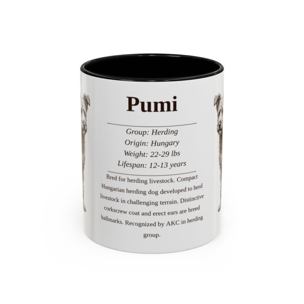 11oz Pumi Mug, Black, front view