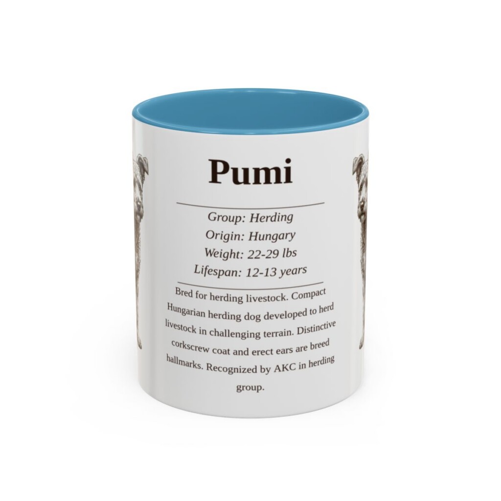 11oz Pumi Mug, Light Blue, front view
