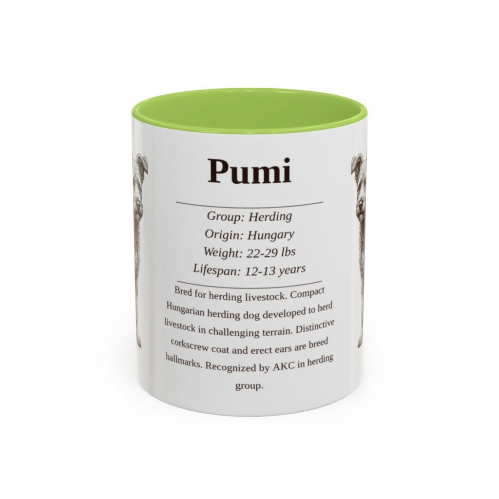 11oz Pumi Mug, Light Green, front view