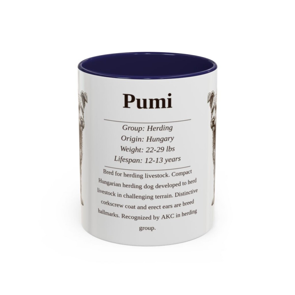11oz Pumi Mug, Navy, front view