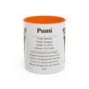 11oz Pumi Mug, Orange, front view