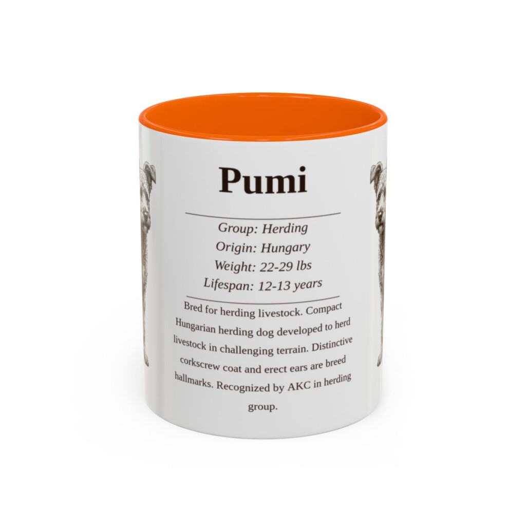 11oz Pumi Mug, Orange, front view