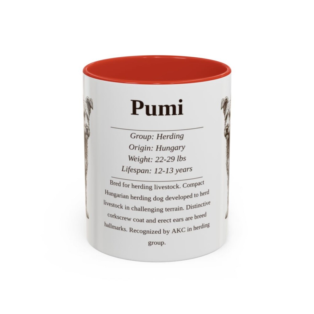 11oz Pumi Mug, Red, front view