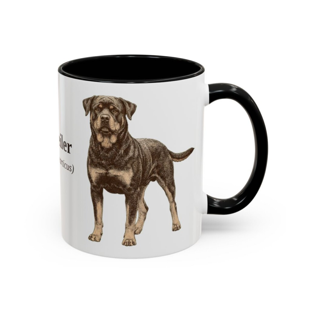 11oz Rottweiler Latin Mug, Black, right side view